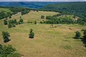 1479 Co Rd 972, Compton, AR 72624 photo 6