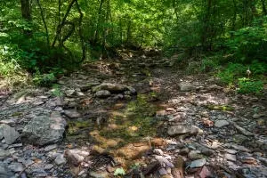 1479 Co Rd 972, Compton, AR 72624 photo 2