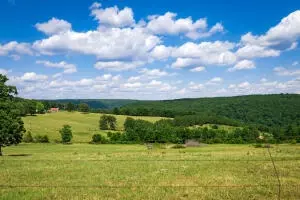 1479 Co Rd 972, Compton, AR 72624 photo 1