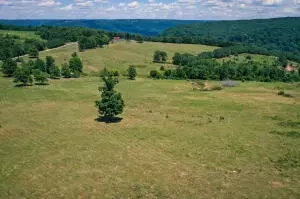 1479 Co Rd 972, Compton, AR 72624 photo 7