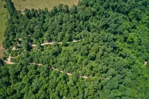 1479 Co Rd 972, Compton, AR 72624 photo 9