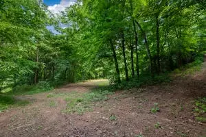 1479 Co Rd 972, Compton, AR 72624 photo 23