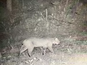 1479 Co Rd 972, Compton, AR 72624 photo 29