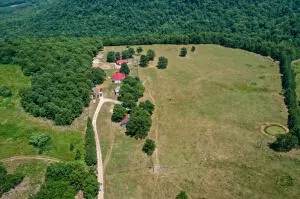 1479 Co Rd 972, Compton, AR 72624 photo 11