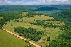 1479 Co Rd 972, Compton, AR 72624 photo 4