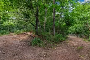 1479 Co Rd 972, Compton, AR 72624 photo 21