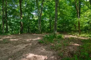 1479 Co Rd 972, Compton, AR 72624 photo 22