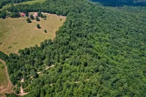 1479 Co Rd 972, Compton, AR 72624 photo 10