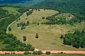 1479 Co Rd 972, Compton, AR 72624 photo 3