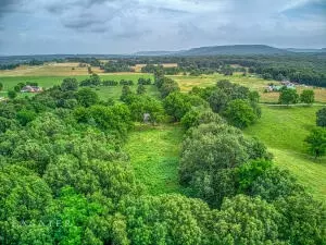 5342 Forgeson Rd, Harrison, AR 72601 photo 8