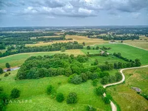 5342 Forgeson Rd, Harrison, AR 72601 photo 15