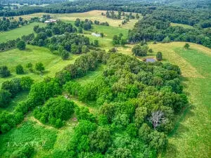 5342 Forgeson Rd, Harrison, AR 72601 photo 6