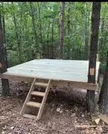 4342 N Harmon Rd, Harrison, AR 72601 photo 49