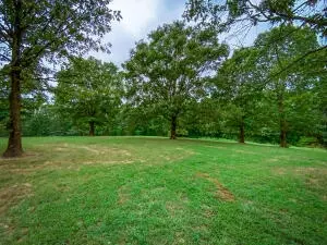 4342 N Harmon Rd, Harrison, AR 72601 photo 10