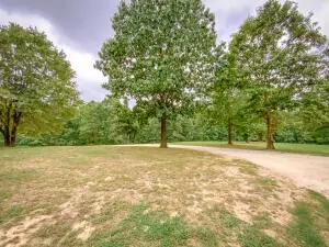 4342 N Harmon Rd, Harrison, AR 72601 photo 15