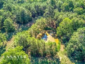 7007 Morgan Cave Rd, Harrison, AR 72601 photo 23