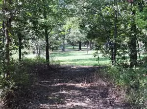 324 Foxhound Rd, Saint Joe, AR 72675 photo 23
