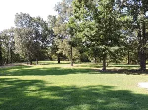 324 Foxhound Rd, Saint Joe, AR 72675 photo 19