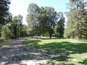 324 Foxhound Rd, Saint Joe, AR 72675 photo 26