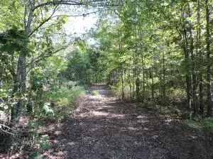 324 Foxhound Rd, Saint Joe, AR 72675 photo 22