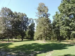 324 Foxhound Rd, Saint Joe, AR 72675 photo 2