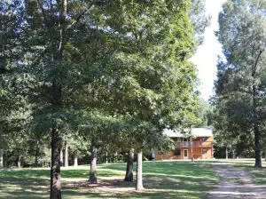 324 Foxhound Rd, Saint Joe, AR 72675 photo 4