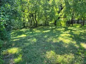 609 N Walnut St, Harrison, AR 72601 photo 4