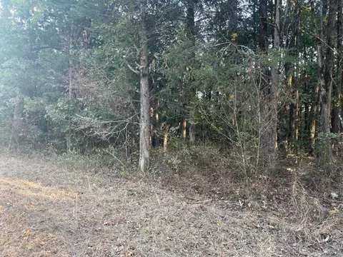 lot43 Mockingbird Trl, Diamond City, AR 72644
