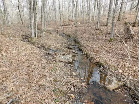 Cr 972, Compton, AR 72624 photo 7