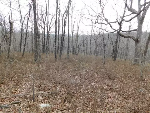 Cr 972, Compton, AR 72624 photo 5