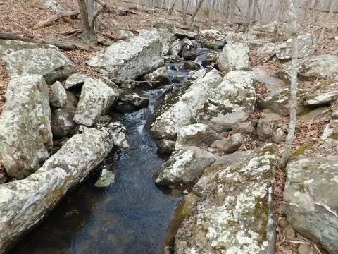 Cr 972, Compton, AR 72624 photo 2