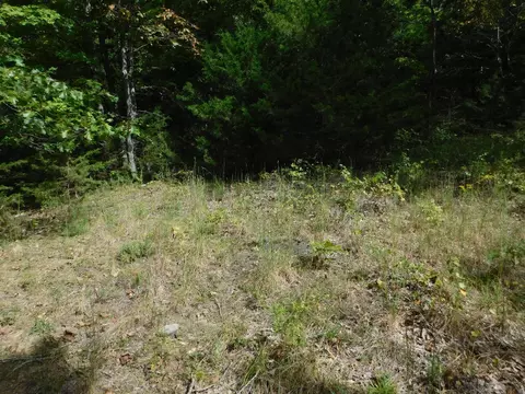 Will Jones Road, Jasper, AR 72641 photo 6