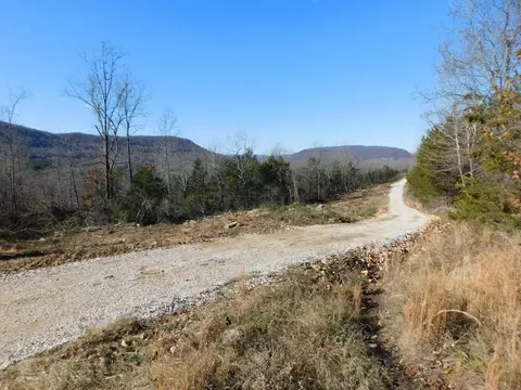 Will Jones Road, Jasper, AR 72641 photo 4