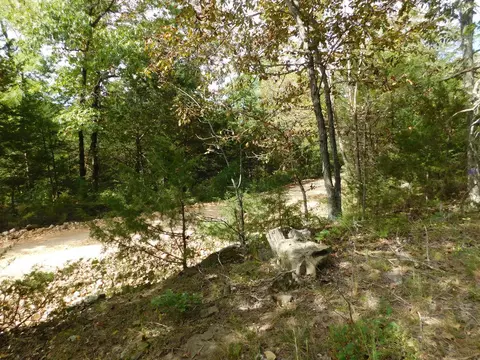 Will Jones Road, Jasper, AR 72641 photo 3