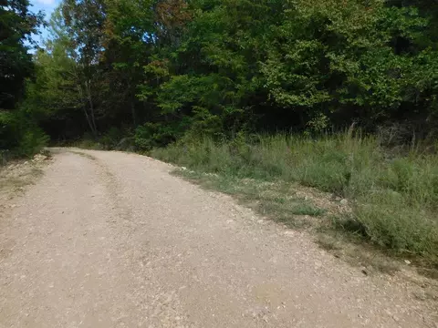 Will Jones Road, Jasper, AR 72641 photo 5
