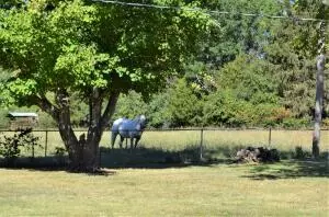 4072 Tommy, Harrison, AR 72601 photo 23