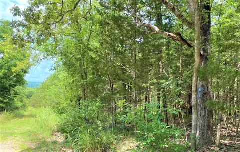 lot24 Greenwood Dr, Diamond City, AR 72644