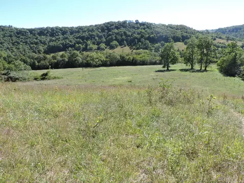 000 Terrapin Rd, Harrison, AR 72601