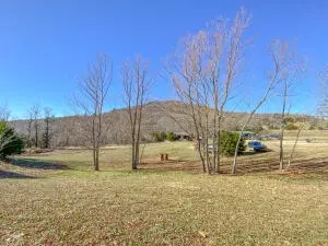 5492 Boat Mountain Rd, Harrison, AR 72601 photo 13