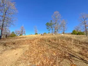 5492 Boat Mountain Rd, Harrison, AR 72601 photo 17