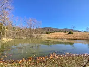 5492 Boat Mountain Rd, Harrison, AR 72601 photo 20