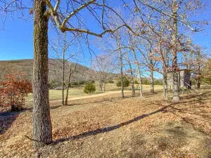 5492 Boat Mountain Rd, Harrison, AR 72601 photo 18