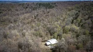 Hcr 31 Box 121 Aa, Jasper, AR 72641 photo 49
