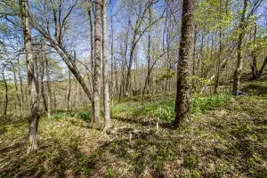 Hcr 31 Box 121 Aa, Jasper, AR 72641 photo 47