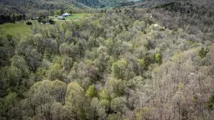 Hcr 31 Box 121 Aa, Jasper, AR 72641 photo 56