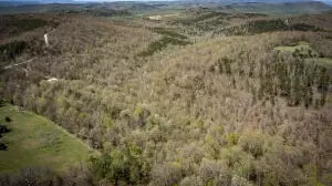 Hcr 31 Box 121 Aa, Jasper, AR 72641 photo 51