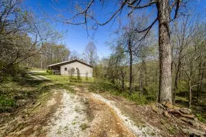 Hcr 31 Box 121 Aa, Jasper, AR 72641 photo 60