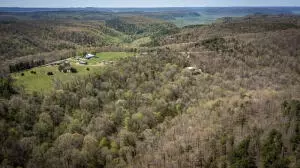 Hcr 31 Box 121 Aa, Jasper, AR 72641 photo 57