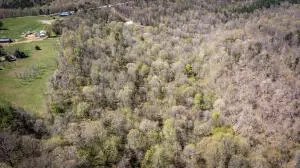 Hcr 31 Box 121 Aa, Jasper, AR 72641 photo 55