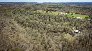 Hcr 31 Box 121 Aa, Jasper, AR 72641 photo 52